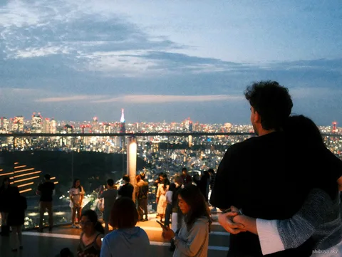 Wycieczka z Harajuku na Shibuya Sky wieczorem, widok na Tokio nocą