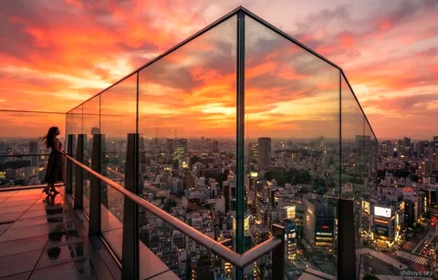 Shibuya Sky billet tur med Meiji-helligdommen, udsigt over byen