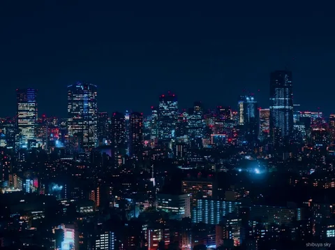 Shibuya Sky ticket nightlife tour, Scramble Crossing crowds