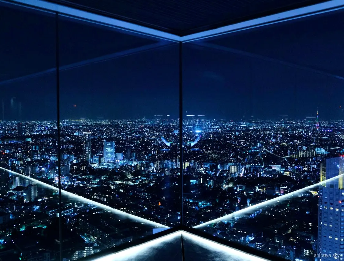 Shibuya Sky saatli giriş bilet turu, gece silueti