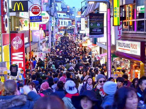 Tour da Harajuku a Shibuya Sky, viale di Omotesando