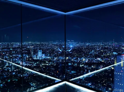 Tour con biglietto Shibuya Sky a orario fisso, skyline notturno
