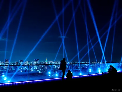 Billet Shibuya Sky en visite de nuit, Scramble Crossing aux néons